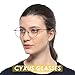 Cyxus Vintage Retro Blue Light Filter Glasses Round Anti Eyestrain Redness Metal Frame (8928T01,Black)