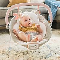 ingenuity bouncer flora