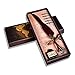 Antique Copper Feather Pen with Ink and Steel Tips Calligraphy Quill Pen Gift Set (wine)