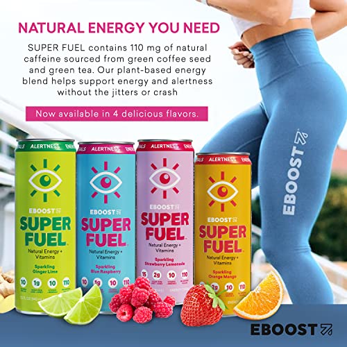 EBOOST Super Fuel Natural Energy Drink Variety Pack, 12 Pack 3 x