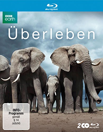 Überleben - Die komplette Serie (2 Discs)
