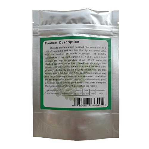 1 Moringa+drumstick+Organic+Chriss+garden