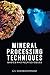 Mineral Processing Techniques Basics and Related Issues