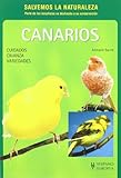 Canarios de color / Colorful Canaries: Cuidados, Crianza, Variedades (Spanish Edition) by