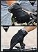 YQXCC Winter Men's Leather Gloves Touch Screen Outdoor Sports Cycling Windproof Warm Gloves
