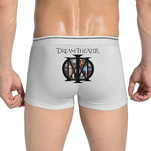 Dream Theater Images Dream Theater Print Men Cotton Boxers Briefs