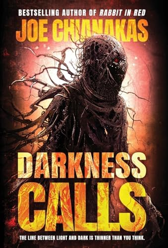 Out of Darkness: Meyers, Jeffrey K: 9781959622253: Amazon.com: Books