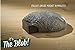 Drhob 1pcs Creative Technology changeable putty Cube Office Decompression Toys Kids Great Gift
