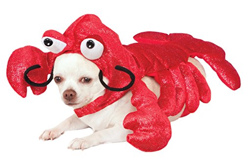 Rubies Costume Mr. Claws Lobster Pet Costume, Large