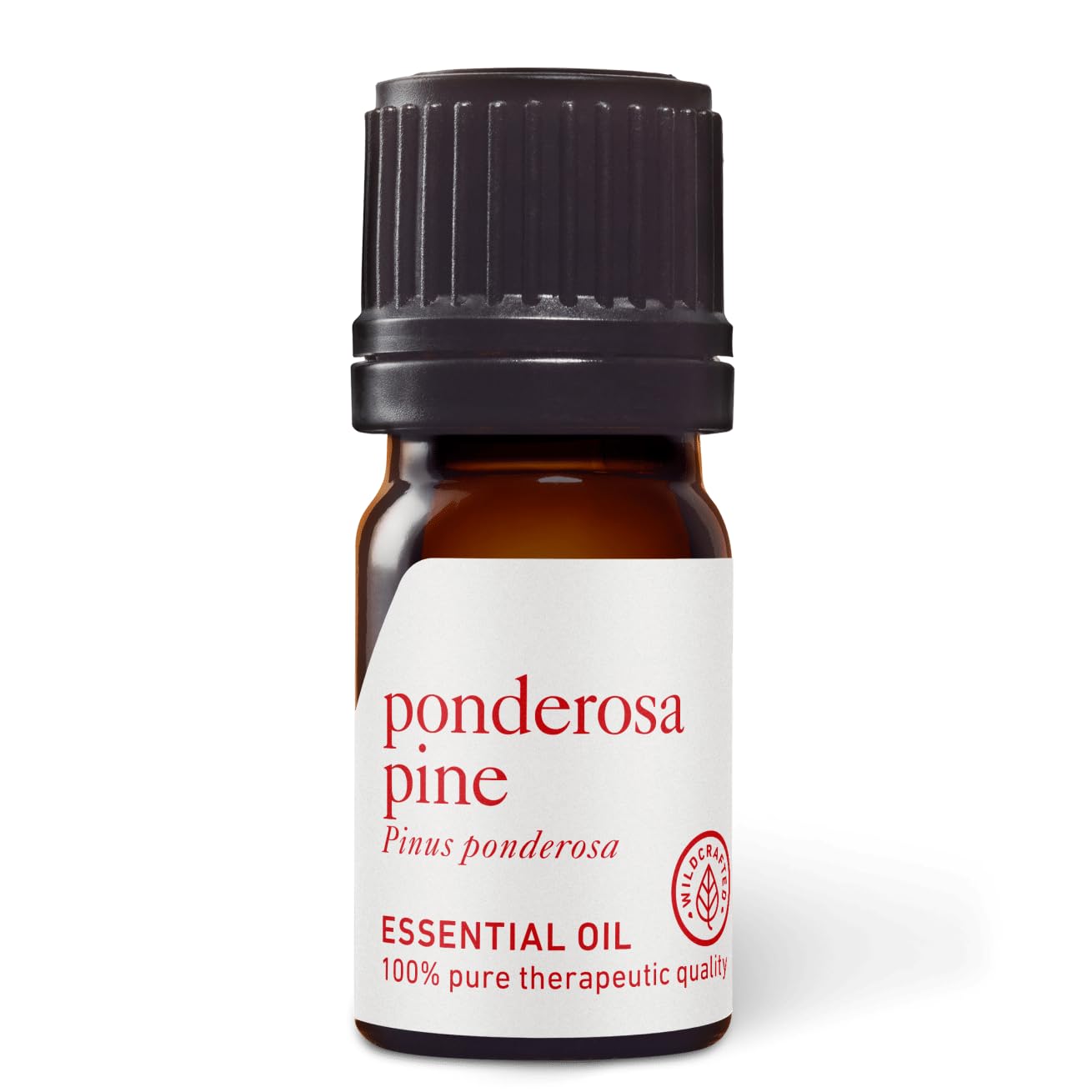 Aromatics International Ponderosa Pine Essential