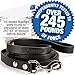 Logical Leather Dog Leash - 6 Foot Heavy Duty Full Grain Leather Lead; Best for Training - Black