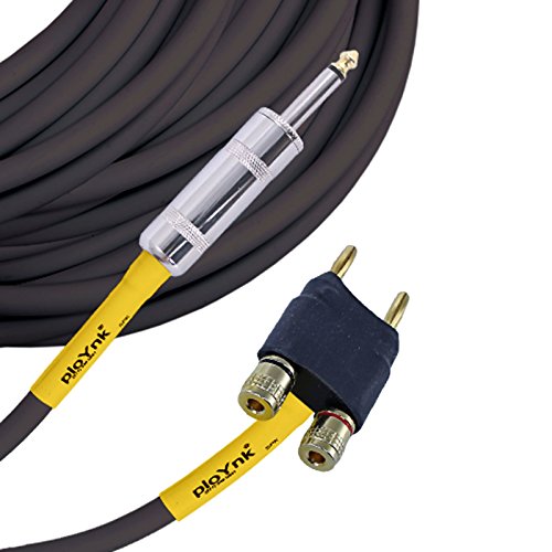 PLoynk Professional Audio Speaker Cable - 12 gauge (10 ft, 1/4" to Banana)