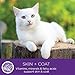 Wellness Signature Selects Natural Canned Grain Free Wet Cat Food, Chunky Turkey & Chicken, 2.8-Ounce Can (Pack Of 24)