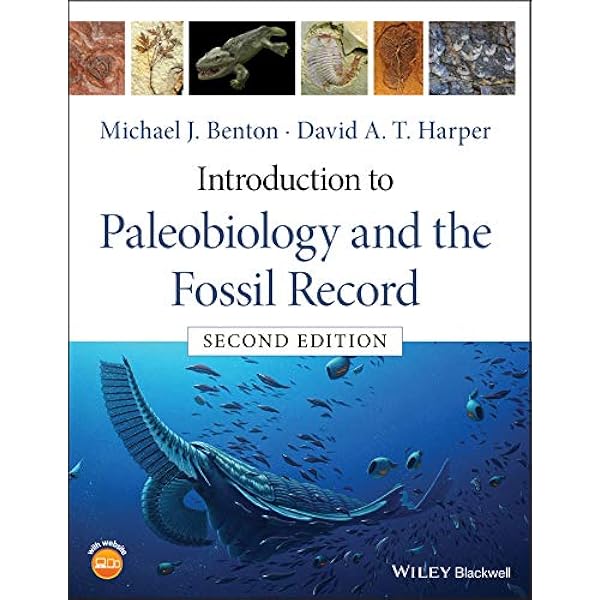 Earth System History, Fourth Edition Fourth, STANLEY, STEVEN M
