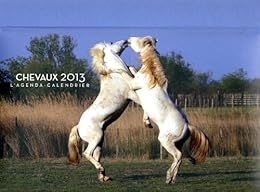 L' agenda-calendrier 2013