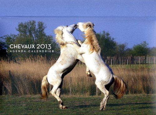 L' agenda-calendrier 2013