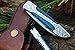DKC Knives (14 5/18) DKC-37-BLH Victorian Damascus Folding Pocket Knife Blue Bone 7.75
