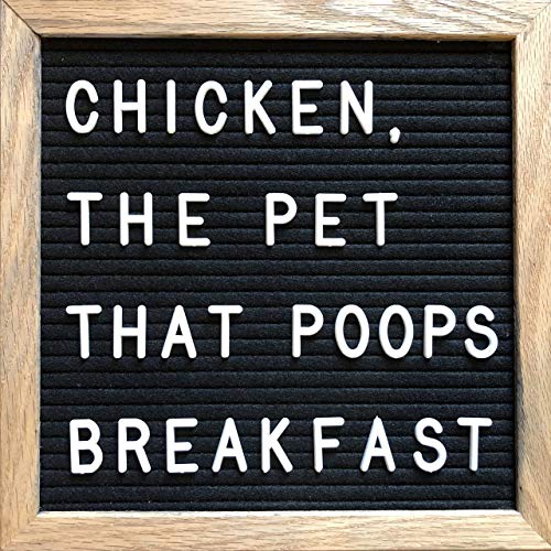 1" Letters and Characters for Changeable Letter Boards | 252 Characters & Symbols | Includes @ # $% ¢ ♂ ♁ ♪ & ♥ | Bonus Pouch (1" Letter Set & Bag ONLY)