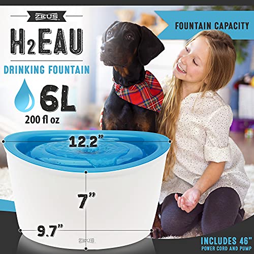 Zeus Fresh & Clear Elevated Dog and Cat Water Dispenser, Large Drinking