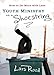 Youth Ministry on a Shoestring: How to Do More with Less by Lars Rood