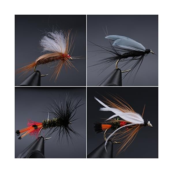Maxcatch-Dry-Wet-Nymph-Fly-Fishing-Flies-Kit-Assortment-Fly-Fishing-Lure Maxcatch-Dry-Wet-Nymph-Fly-Fishing-Flies-Kit-Assortment-Fly-Fishing-Lure