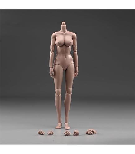 Amazon.com: 1/6 Scale Female Body, 12inch Suntan Skin Middle Bust Flexible  Action Figure Body Doll Collection : Toys & Games