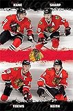 Chicago Blackhawks Team Poster 22 x 34in