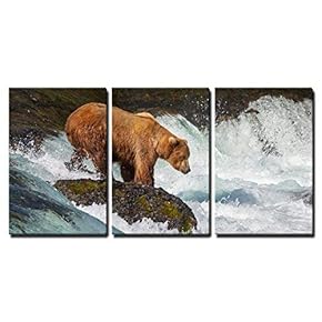 Brown Bear on Alaska x3 Panels