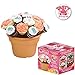 Tasty Bouquet- Create Beautiful Cupcake Bouquets in Seconds, Displays 19 Cupcakes, Includes 1 Dome Shaped Cupcake Rack, 1 Flower Pot, 4 Decorating Bags, 2 Decorating Tips