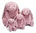 Jellycat Bashful Tulip Pink Bunny Stuffed Animal, Small, 7 inches