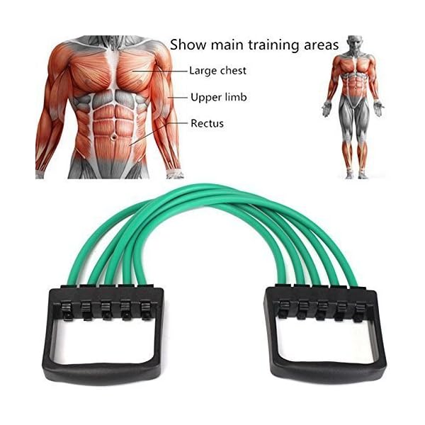 chest exerciser