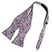 EBA7B01-05 Multicolored Paisley Woven Microfiber Self-tied Bow Tie By Epoint