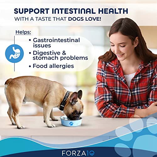 Forza10 Active Intestinal Dry Dog Food Digestive Health, Gluten Free
