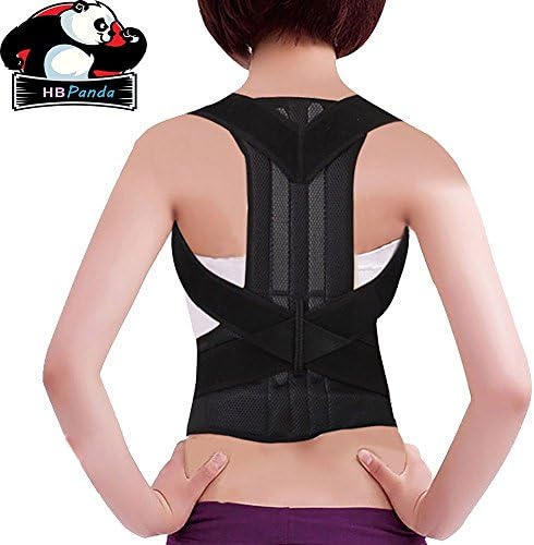 Double Strap Back Support For Abdominal and Lumbar Regions (M)