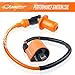 1PZ BB3-OW1 Performance Ignition Coil Plug Replacement for Yamaha Blaster Yfs200 YFS 200 1988 1989 1990 1991 1992 1993 1994 1995 1996 1997 1998 1999 2000 2001 2002 2003 2004 2005 2006 NEW