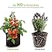 VIPARSPECTRA 6-Pack 10 Gallon Grow Bags – Thickened Nonwoven Aeration Fabric Pots Container with Heavy Duty Durable Handles for Garden Indoor Plantsthumb 3