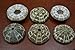 6 Pcs Alfonso Sea Urchins Sea Shell Beach Wedding Nautical 2 1/2