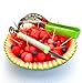 Slice Pro - #1 Rated Professional Watermelon Carving Kit - 1 Watermelon Slicer with Ergo Handle + 1 Carving Tool (Melon Baller and Rind Carving Tool)