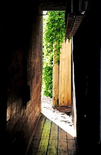 Acrylic-Mounted Artwork by Brenda Paulicelli: secret entrance