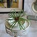 LianLe Artificial Succulent Plants Home Creative Decoration Succulent Flowers
