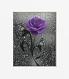 Purple Gray Wall Pictures for Bathroom, Bedroom, Purple Rose Flower, Decorative 5x7, 8x10 Home Decor Picture Options