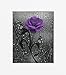 Purple Gray Wall Pictures for Bathroom, Bedroom, Purple Rose Flower, Decorative 5x7, 8x10 Home Decor Picture Options