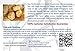 Natural Loofahs by Spa Destinations Six (6) Pack of 4 for Bath, Shower and Body- exfoliating for Men and Women
