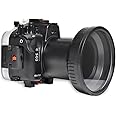 Seafrogs 40m/130ft Underwater Housing Waterproof Case for Canon EOS R, Compatible with 24-105mm Lens, for Underwater Photography or Videography