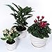 3 Pack Ceramic Flower Plant Pot with Saucers, Size 4’’ 5’’ and 6’’ (Modern)