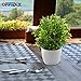 OFFIDIX Potted Artificial Plastic Plants,Mini Faux Plant with White Pots Plant Decorations Indoor Fake Desk Plant for Home and Office Desktop Decor 1pc