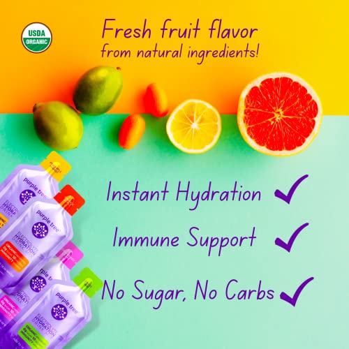 Organic Electrolyte Hydration Packets by Purple Tree, Sugar Free, All
