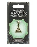 Official FANTASTIC BEASTS Triangle Eye Slider Charm