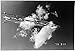 In the Wake: Japanese Photographers Respond to 3-11