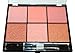 12 Classic Color Elegant Blush Set